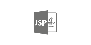 JSP
